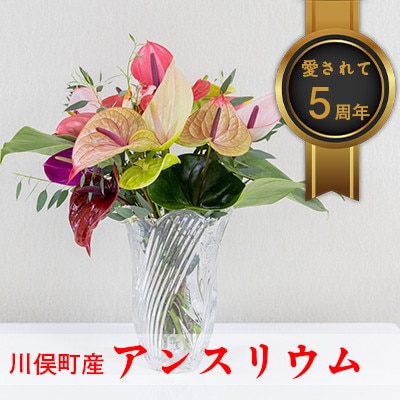アンスリウム(切花7～8本程度)