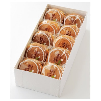 銘菓　絹の月　10個入り