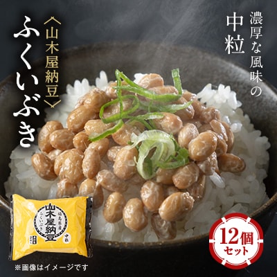 山乃屋の山木屋納豆ふくいぶき12個セット
