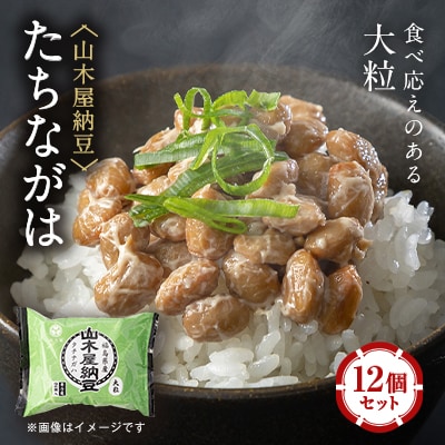 山乃屋の山木屋納豆たちながは12個セット