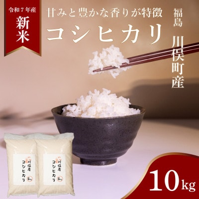 川俣町産 コシヒカリ 10kg 精米
