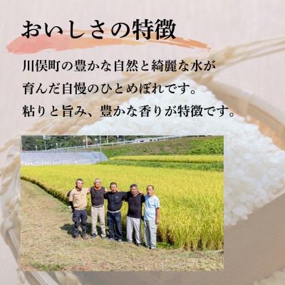 川俣町産 ひとめぼれ 精米 5kg