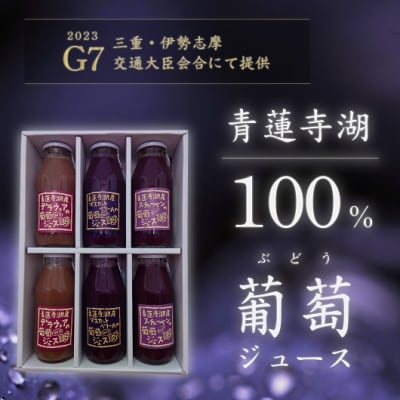 ぶどうジュースセット　0504