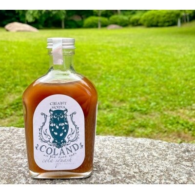 無添加 クラフト コーラ シロップ コーラスカッシュ 0g 手作り お礼品詳細 ふるさと納税なら さとふる