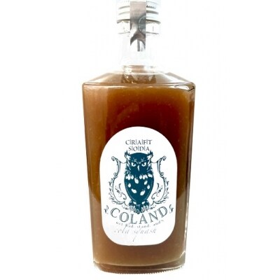 無添加 クラフト コーラ シロップ コーラスカッシュ 500g 手作り お礼品詳細 ふるさと納税なら さとふる