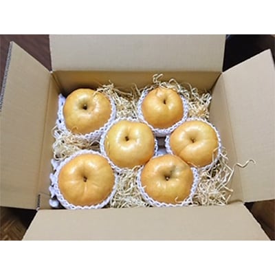 春日農園のあたご梨　約5kg