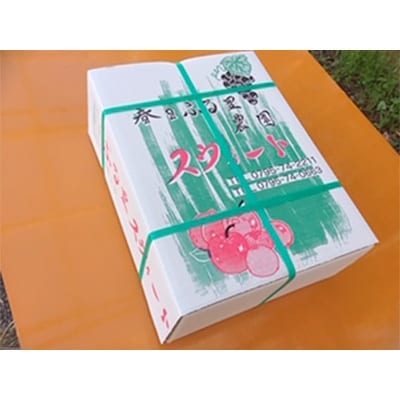春日農園のあたご梨　約5kg