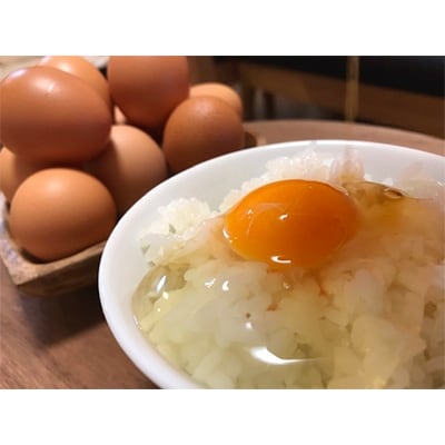 丹波奥郷の卵　やまぶき小玉67個