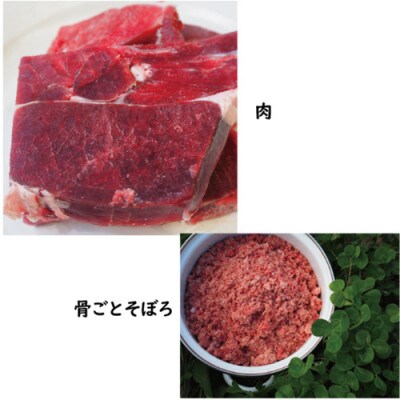 【鹿の匠　丹波】鹿の手づくり食ミニE　400g　犬用