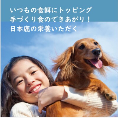 【鹿の匠　丹波】鹿の手づくり食・ミニE　2品　犬用