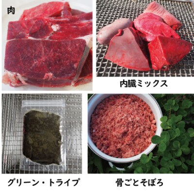 【鹿の匠　丹波】鹿の手づくり食C　8品　犬用