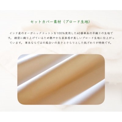 赤ちゃんの寝かしつけ抱き布団 スタンダードパック「ジョリーメゾンのトッポンチーノ(R)」だっこ布団