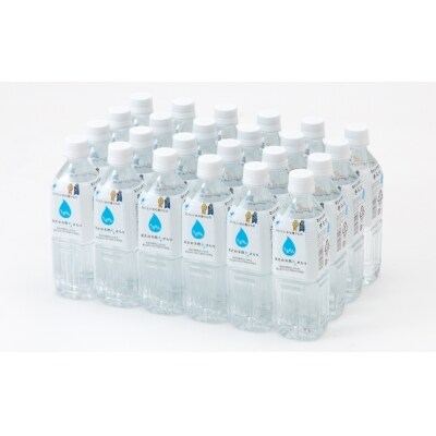 富士の天然水 さらり 4ケース(500ml×96本)2回お届けコース