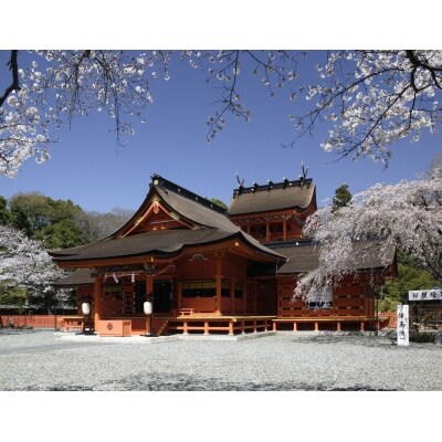 富士宮市 宿泊施設利用券(20,000円寄附コース)