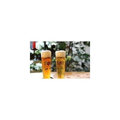 富士山の水を使った地ビール バイエルンマイスタービール ギフト5本セット