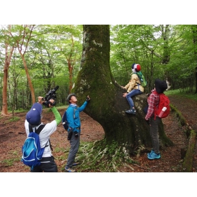 富士山の森トレッキング 大人3名コース