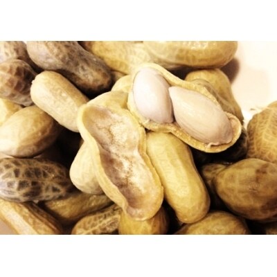 名物 ジャンボゆで落花生 おおまさり お礼品詳細 ふるさと納税なら さとふる