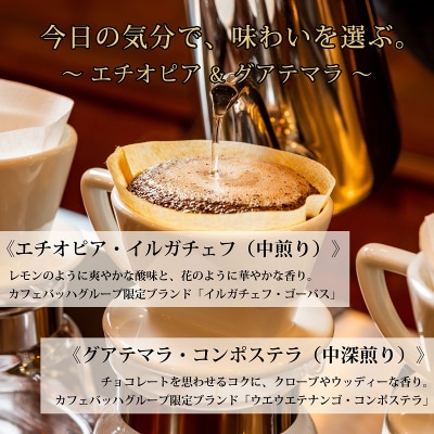 【カフェバッハグループ限定】豆・エチオピア&グアテマラ|中煎り・中深煎り|赤富士珈琲