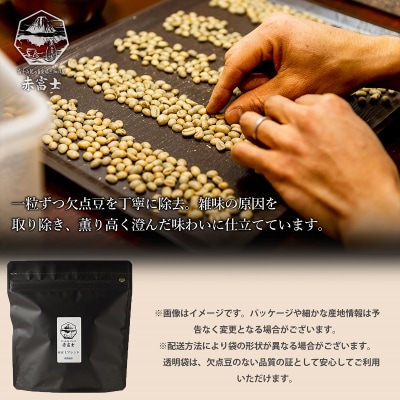 【カフェバッハグループ限定】豆・エチオピア&グアテマラ|中煎り・中深煎り|赤富士珈琲