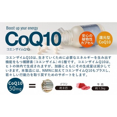 NMN15000 plus CoQ10 (15,000mgの高配合) ×5箱