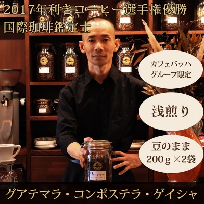 【カフェバッハグループ限定】豆・グアテマラ・ゲイシャ(浅煎り)|赤富士珈琲|利き珈琲チャンピオン厳選