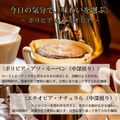 粉・ボリビア&エチオピア|中深煎り|栽培期間中農薬化学肥料不使用|赤富士珈琲