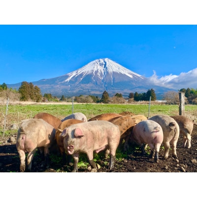 朝霧高原放牧豚　しゃぶしゃぶセット