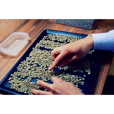 【名門農園】豆・パナマ・ゲイシャ|エスメラルダ農園|浅煎り|赤富士珈琲|利き珈琲チャンピオン厳選