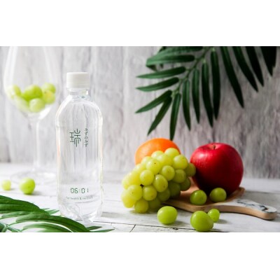 みずのみず 「06:01 for health & recovery」 500ml×24本