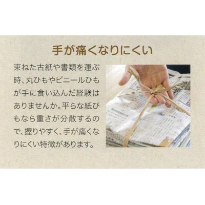 平ひも ひらりS100m 6巻入