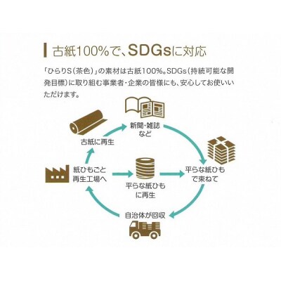 平ひも ひらりS100m 12巻入