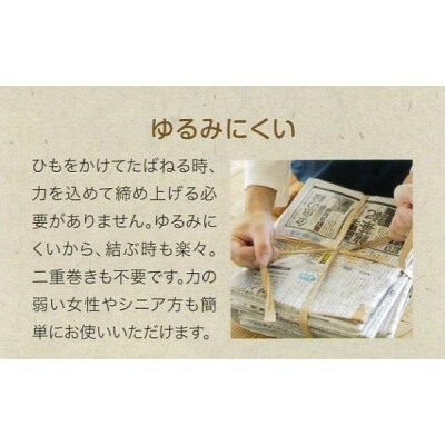 平ひも ひらりS100m 12巻入