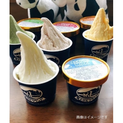 富士ミルクランド　スイーツセット(ジェラート、ロールケーキ)
