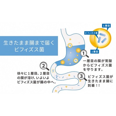 ビフィドフローラ 30袋×2箱セット