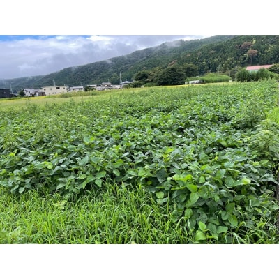 なにもいれずに育てた米、大豆で作った自家製みそ