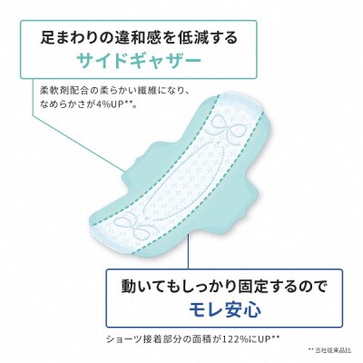 エリス コンパクトガード 多い夜用 羽つき 29cm 30枚×12パック