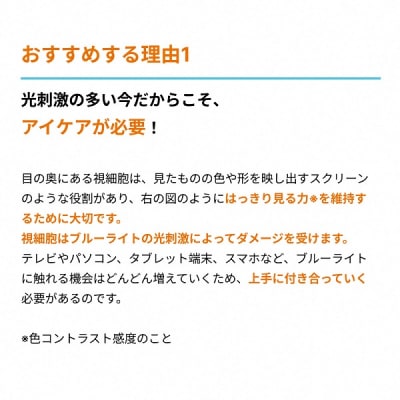 サントリーウエルネス ルテインアクティブ 30粒 (約30日分)
