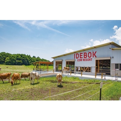 いでぼく COW RESORT IDEBOK 朝搾りたての牛乳使用! チーズ作り体験 【2名様】