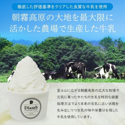 Diamb Premium Gelato (ダイアムプレミアムジェラート) 100ml×6個セット
