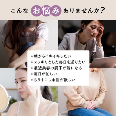 ILUS ルナハーブ 6袋 (6ヶ月)