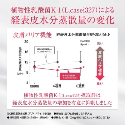 パクチーエナジーゴールド 〈K-1乳酸菌〉 60粒×2袋 (60日分)