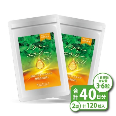 パクチーエナジーゴールド 60粒×2袋 (40日分)
