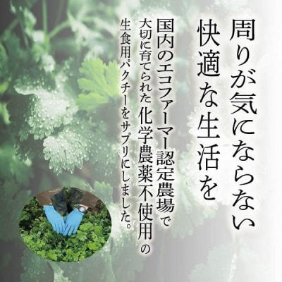 パクチーエナジーゴールド 60粒×2袋 (40日分)