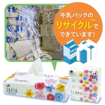 マスコー製紙 ソフィアタッチエコ ティッシュペーパー 150組×5個×20パック (100個)