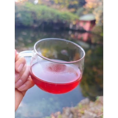 富士宮ブレンドハーブティー 木花咲耶姫 ティーバッグ10個セット