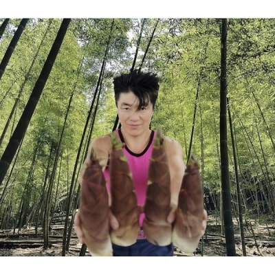 タケノコ王の青果ハチク及びマダケ 約3kg 風岡たけのこ園 【5月以降順次発送予定】