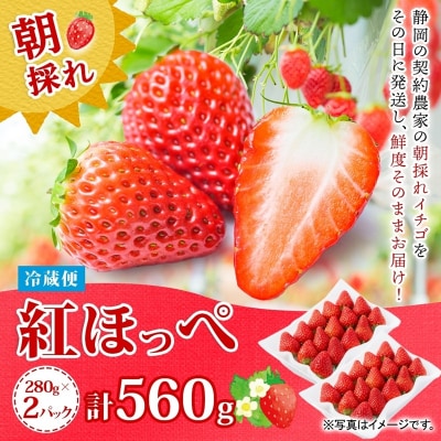 富士宮市産 いちご 紅ほっぺ 280g×2P 計560g