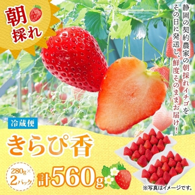 富士宮市産 いちご きらぴ香 280g×2P 計560g