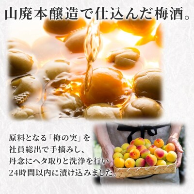 高砂 山廃梅酒 500ml