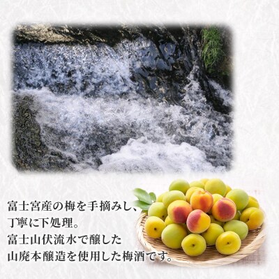 高砂 山廃スッキリ梅酒 500ml